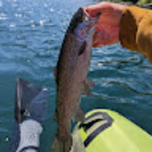 Meet your Posher, Graham